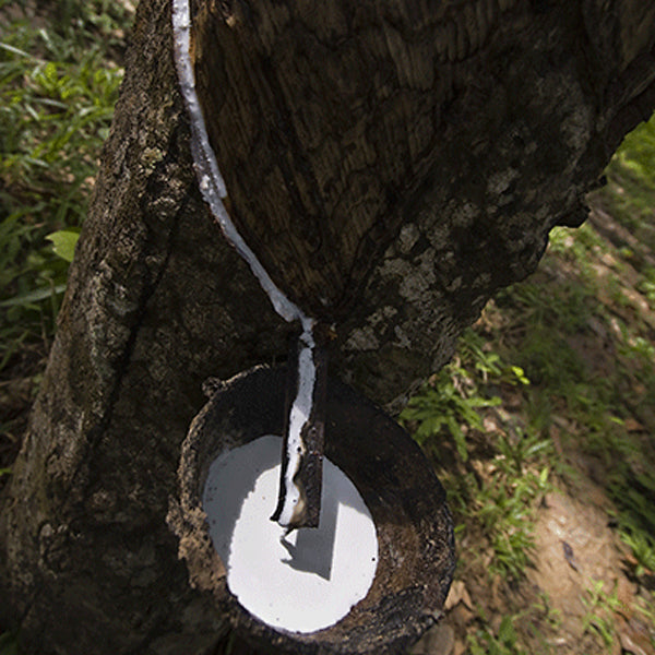 Matière Cloud Feet